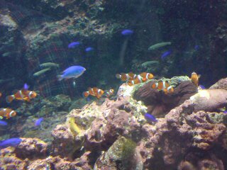20101020113528.jpg