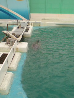 20101020114017.jpg
