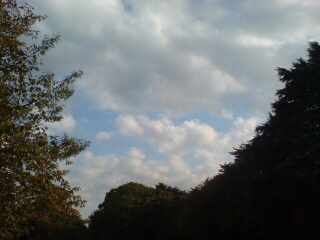20101106232307.jpg