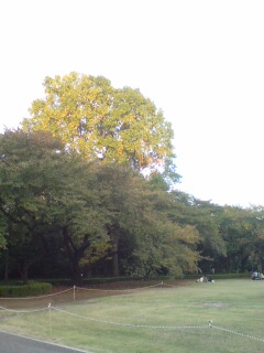 20101106232914.jpg