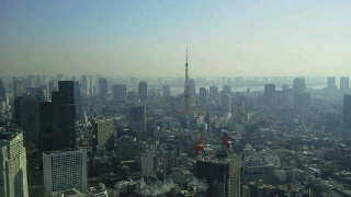 2010121919500000.jpg