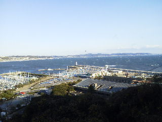2010122514510000.jpg