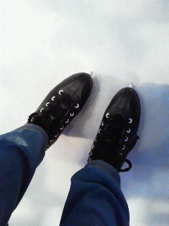 2011010913230000.jpg