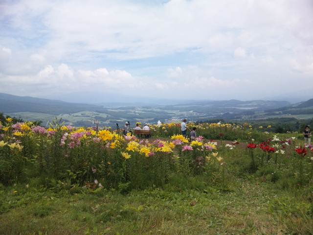 100808_110219.jpg