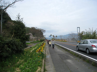 お花見ノルディック・ウォーク in 周防大島