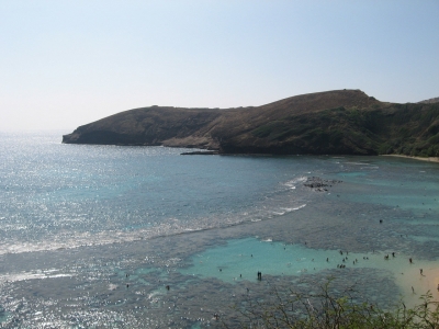 美しい海