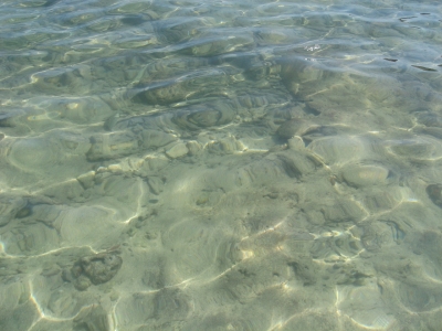 海 水 波面
