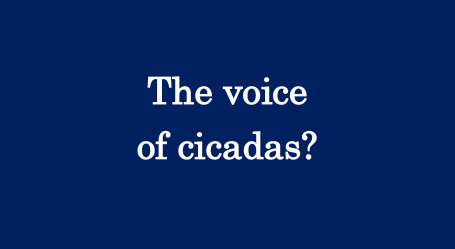 voice of cicadas