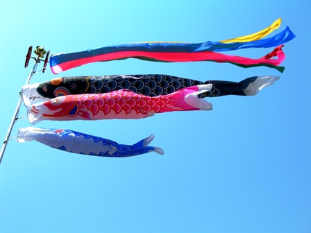 青空に泳ぐ鯉幟