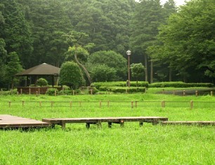 雨の日の芹沢公園