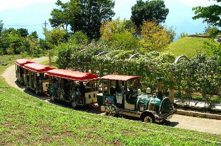 登山電車のハイジ号