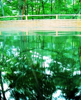 森林浴の朝風呂