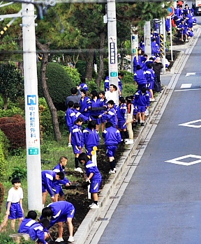 街づくりに一役