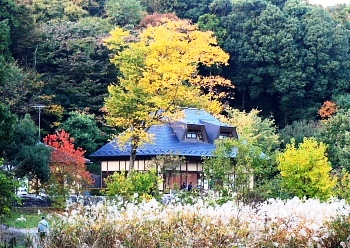 早朝の谷戸山