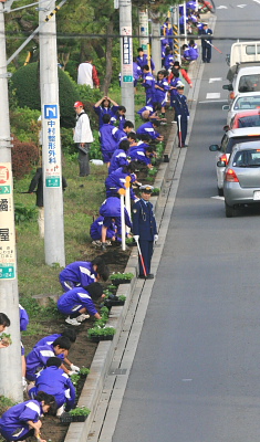 花植栽の現場