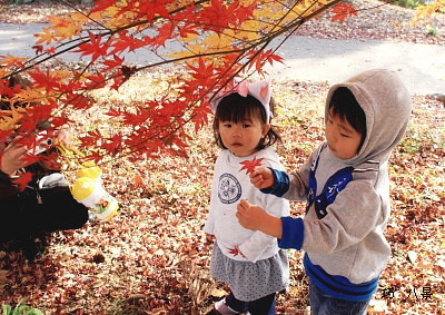 紅葉手が可愛い