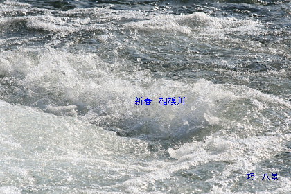 清流流れる相模川