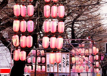 祭り準備万端