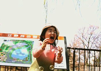 楽しいですね!