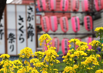 祭り会場ステージ