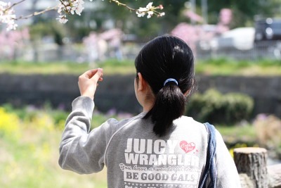 一片の花びらを手に取って・・