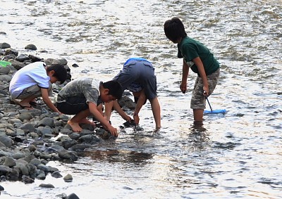 水辺の子供達