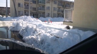140218_1351~0100010001.jpg
