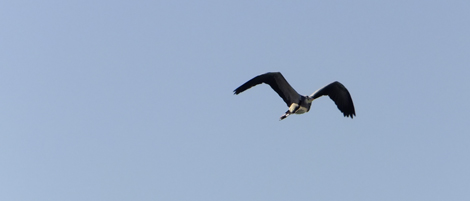 DSCF4620.jpg