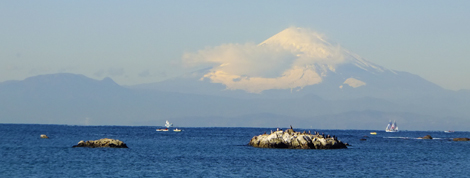 DSCF4585.jpg