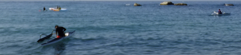 DSCF4984.jpg