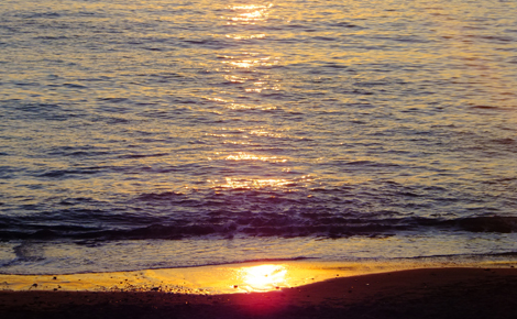 DSCF5155.jpg