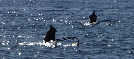 DSCF5101.jpg