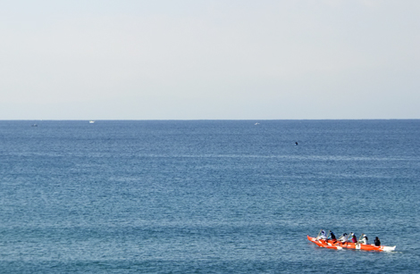 DSCF7236.jpg