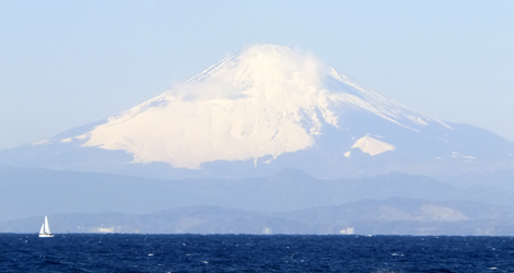 DSCF8522.jpg