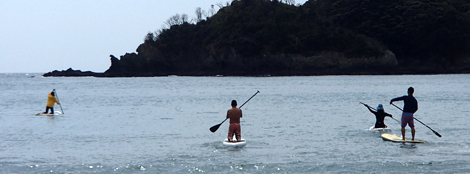 P3220362.jpg
