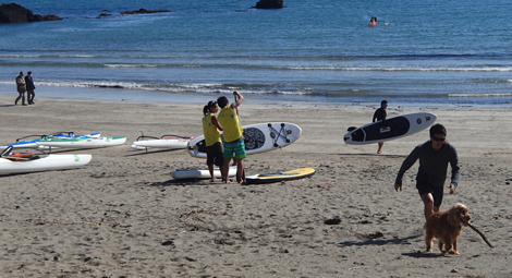 P3220537.jpg