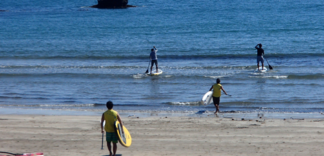 P3220543.jpg