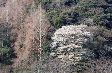 P3240822.jpg
