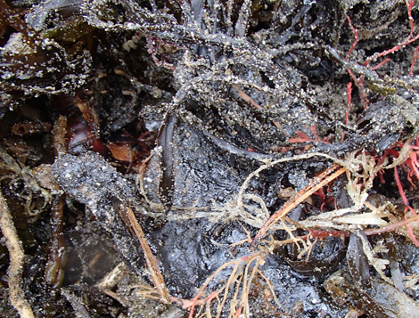 P3300077.jpg