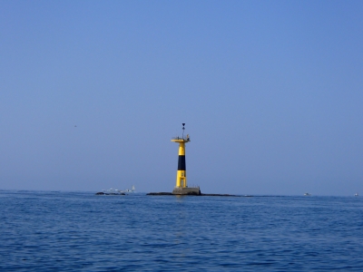 P4260281.JPG