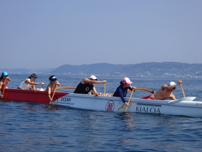 P4260283.JPG