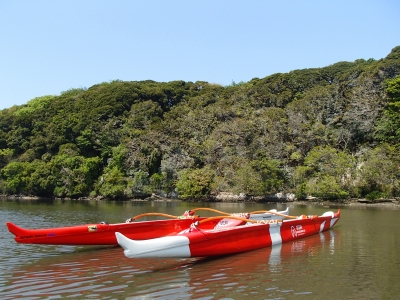 P4260340.JPG