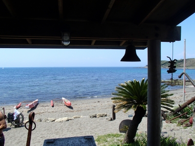 P4260432.JPG