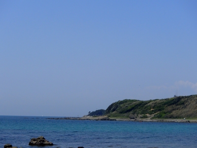 P4260443.JPG