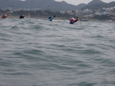 P5251773.JPG