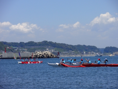 P1012524.JPG