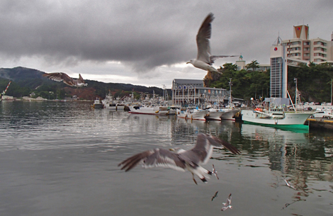 P8090038.jpg