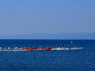 P9140482.JPG