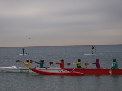 PB081116.JPG