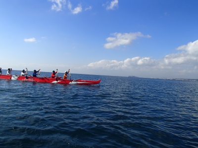 PB300604.JPG